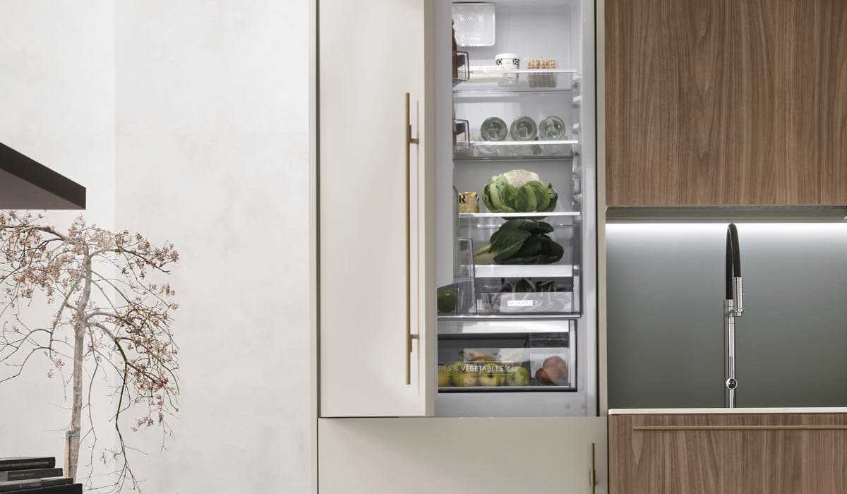 Frigorifero XXL cucina a Bologna