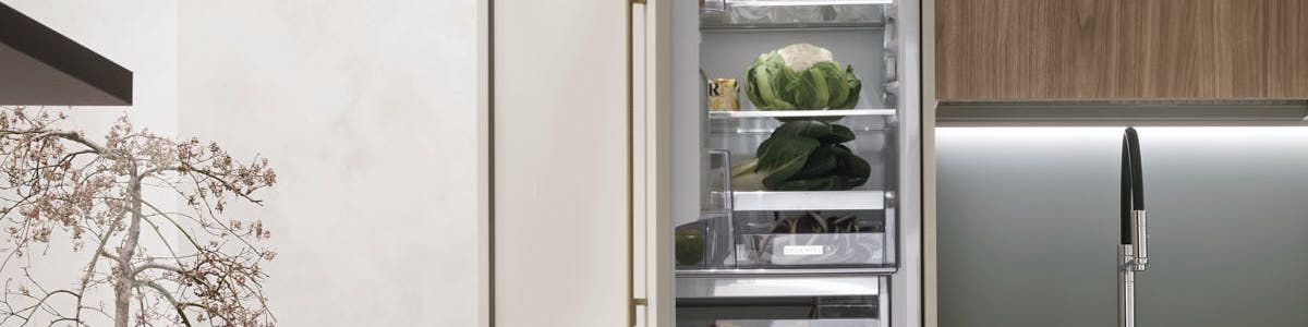Frigorifero XXL cucina a Bologna